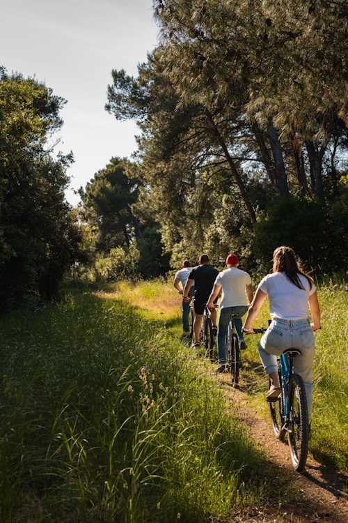 bike rental Istra Premantura