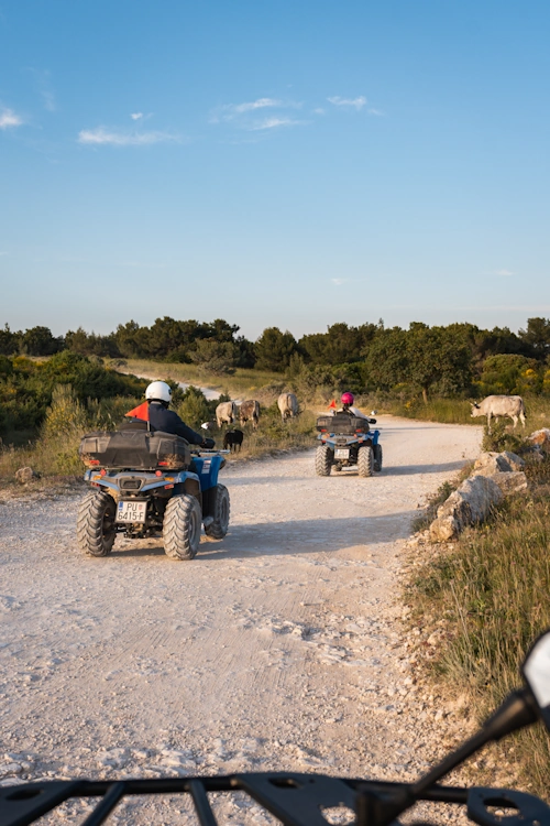 rent a quad Premantura