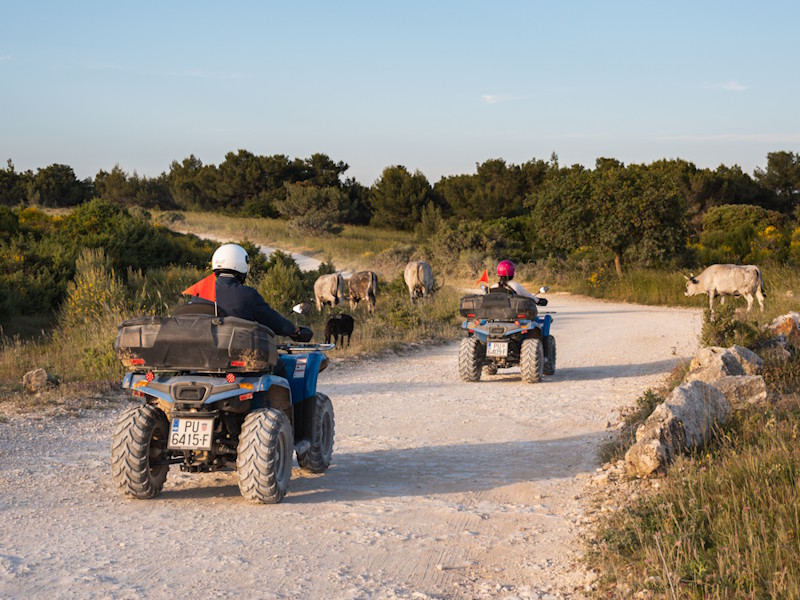 rent a quad in Premantura and visit Kamenjak